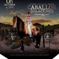 caballitos bailadores tenango del valle