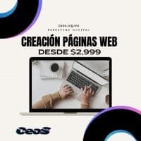 ceos creativos
