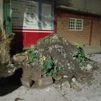 Basura 1875 f1