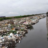 Basura 1875 f2