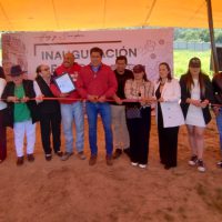 Tenango Atlatlauca 1203 f1