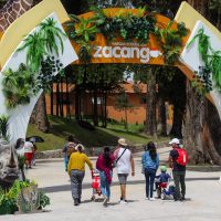 Zacango 140425 f1