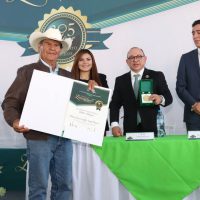 Zinacantepec 2908 F6