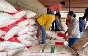 Campesinos de Malinalco logran entrega de fertilizante subsidiado